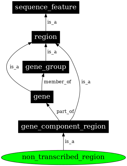 Graph image for SO:0000183