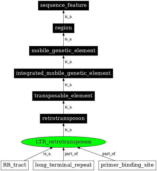 Graph image for SO:0000186