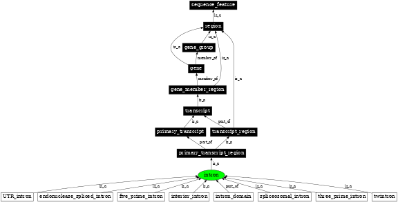 Graph image for SO:0000188