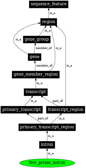 Graph image for SO:0000190