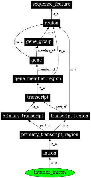 Graph image for SO:0000191