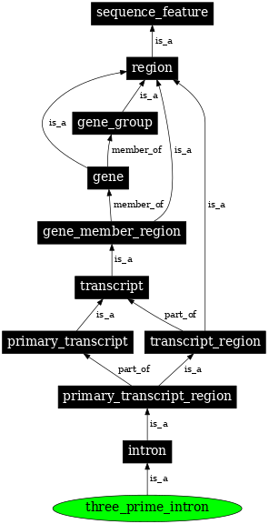 Graph image for SO:0000192