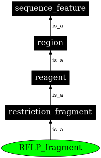 Graph image for SO:0000193