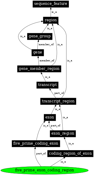 Graph image for SO:0000196