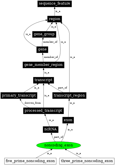 Graph image for SO:0000198