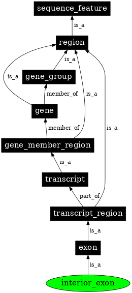 Graph image for SO:0000201