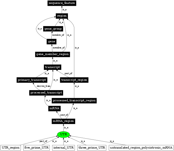 Graph image for SO:0000203