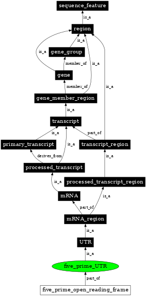 Graph image for SO:0000204