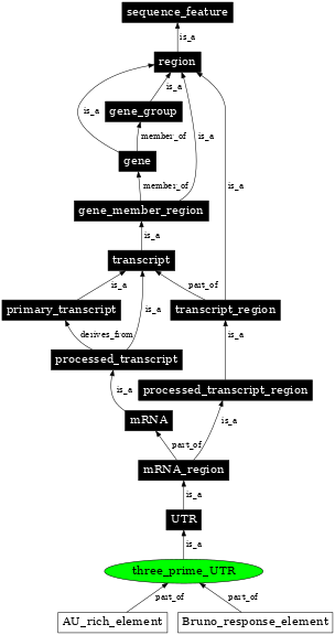 Graph image for SO:0000205