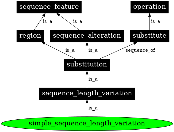 Graph image for SO:0000207
