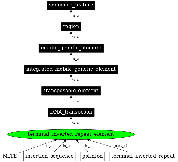 Graph image for SO:0000208