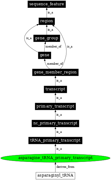 Graph image for SO:0000213