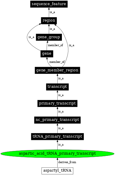 Graph image for SO:0000214