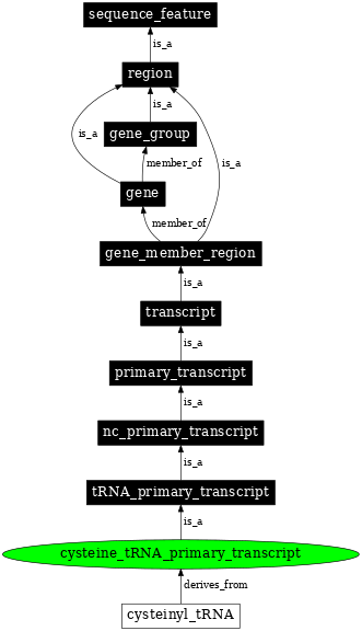 Graph image for SO:0000215
