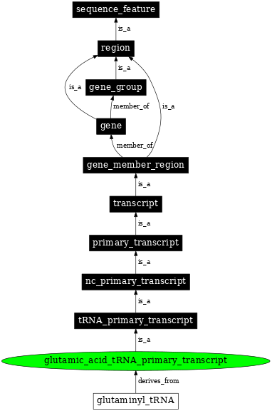Graph image for SO:0000216