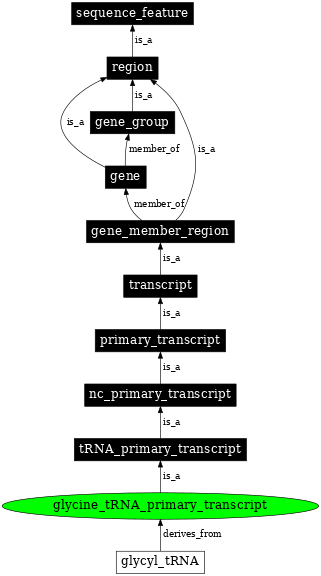 Graph image for SO:0000218