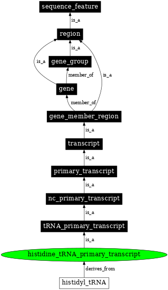 Graph image for SO:0000219