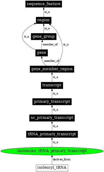 Graph image for SO:0000220