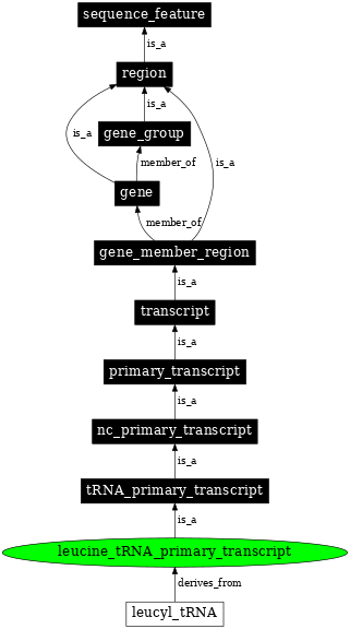 Graph image for SO:0000221