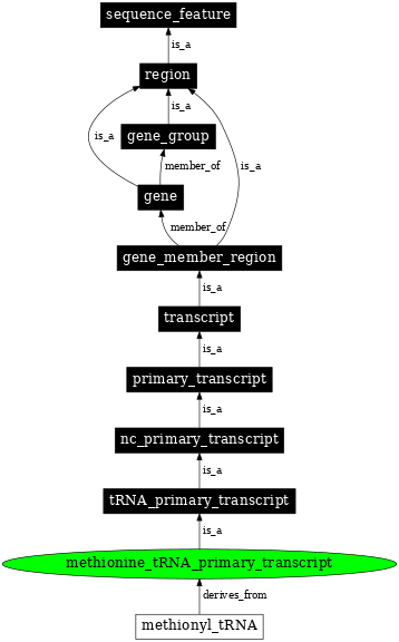 Graph image for SO:0000223