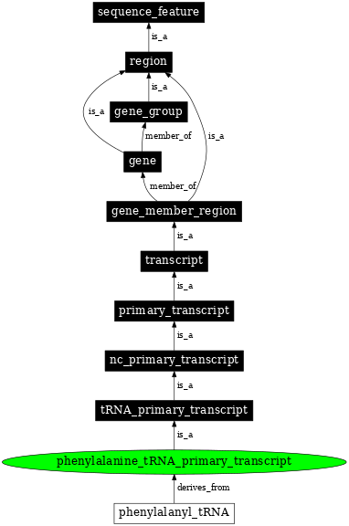 Graph image for SO:0000224