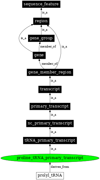 Graph image for SO:0000225