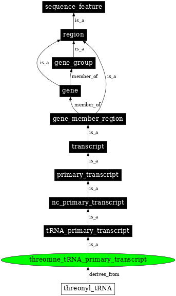 Graph image for SO:0000227