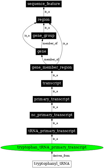 Graph image for SO:0000228
