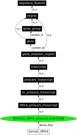 Graph image for SO:0000229