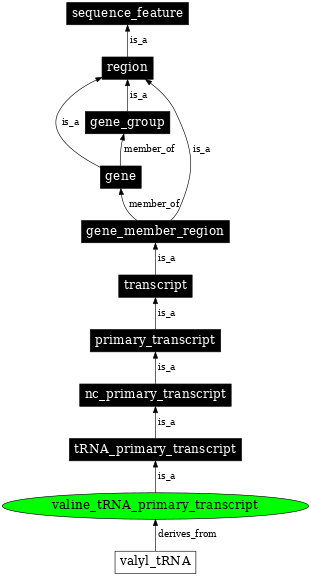 Graph image for SO:0000230
