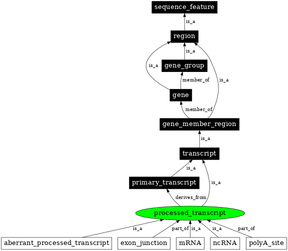 Graph image for SO:0000233