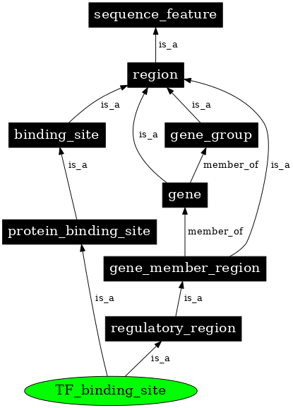Graph image for SO:0000235