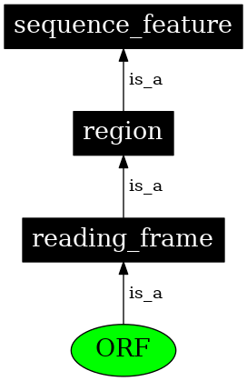 Graph image for SO:0000236