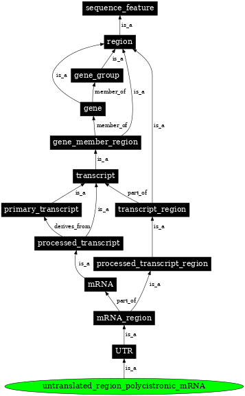 Graph image for SO:0000242