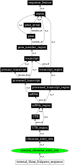 Graph image for SO:0000243