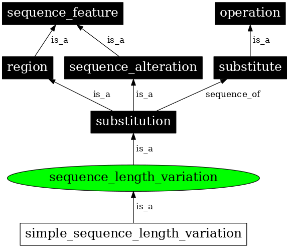 Graph image for SO:0000248