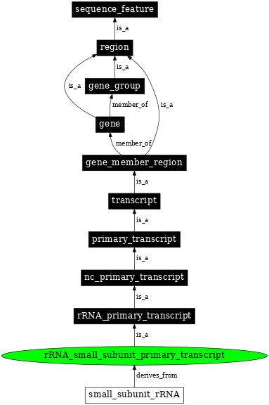 Graph image for SO:0000255
