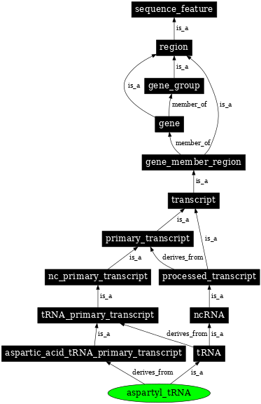 Graph image for SO:0000257