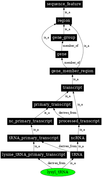 Graph image for SO:0000265