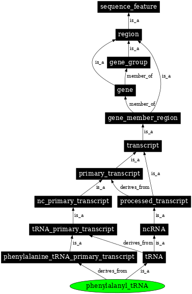 Graph image for SO:0000267
