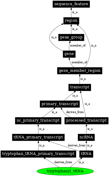 Graph image for SO:0000271
