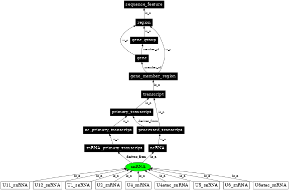 Graph image for SO:0000274