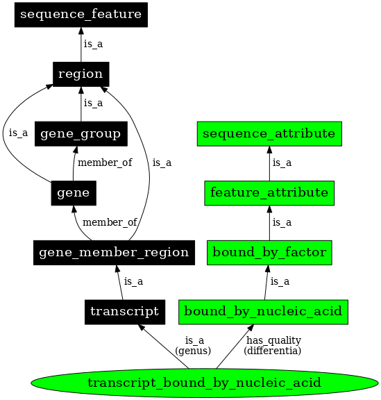 Graph image for SO:0000278
