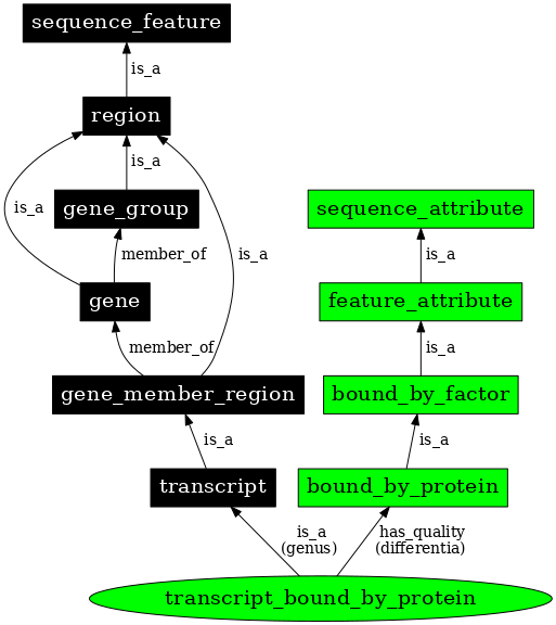 Graph image for SO:0000279