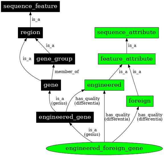 Graph image for SO:0000281