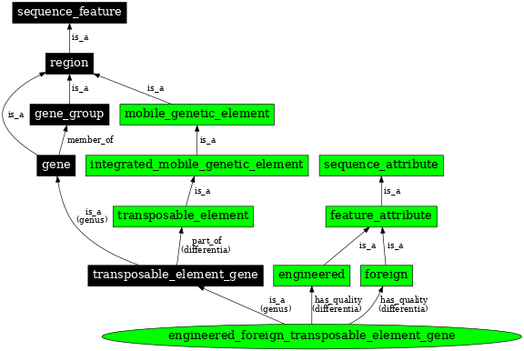 Graph image for SO:0000283