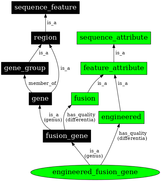 Graph image for SO:0000288