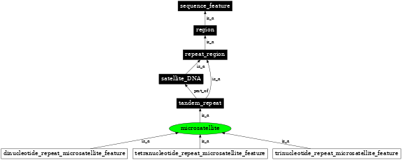 Graph image for SO:0000289