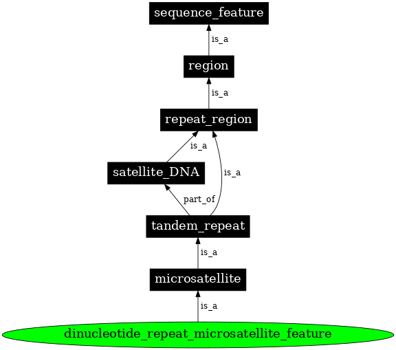 Graph image for SO:0000290