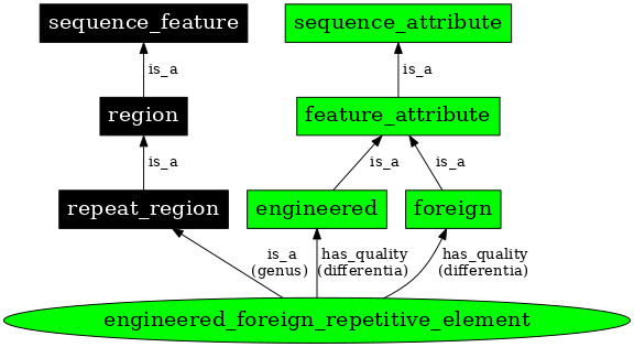 Graph image for SO:0000293